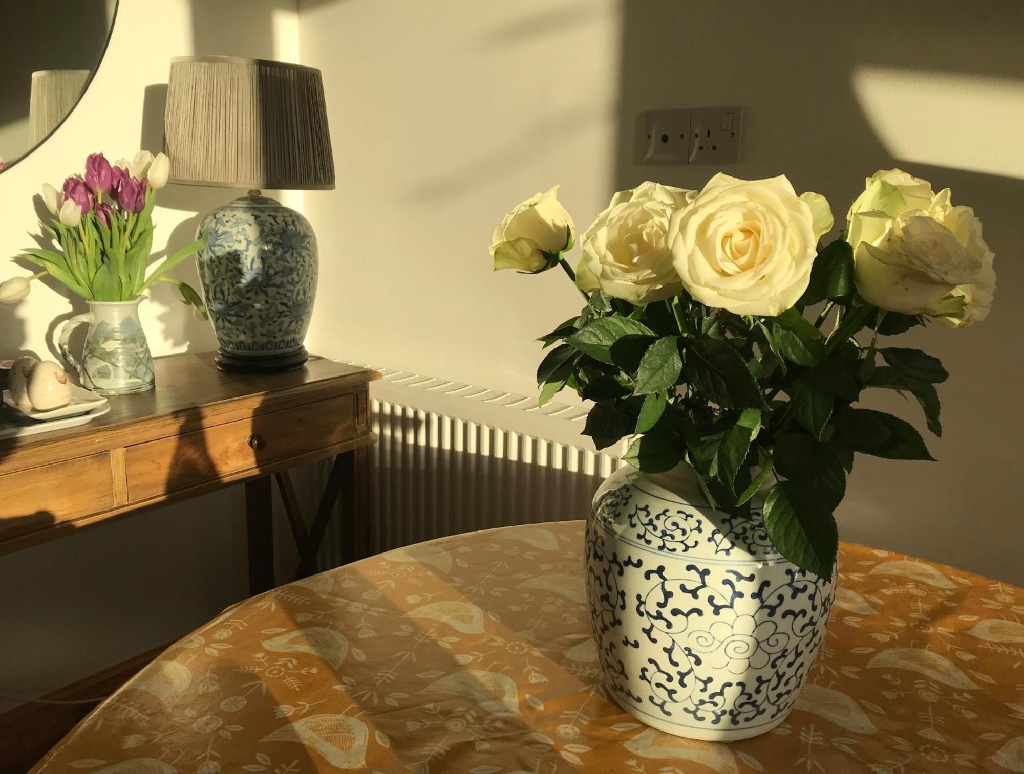City Central Quiet Garden Apartment With Free Parking Inverness Ngoại thất bức ảnh